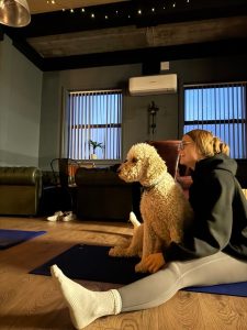 Workplace yoga session at Ascot Group supporting staff wellbeing